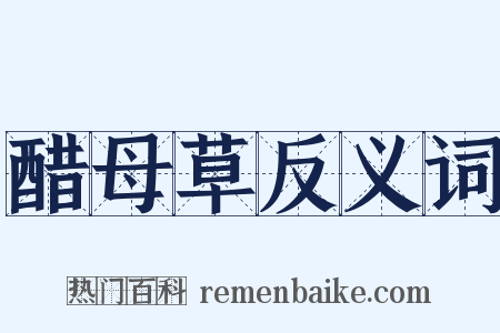 醋母草反义词是什么意思的图片